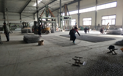 宗達(dá)實(shí)景